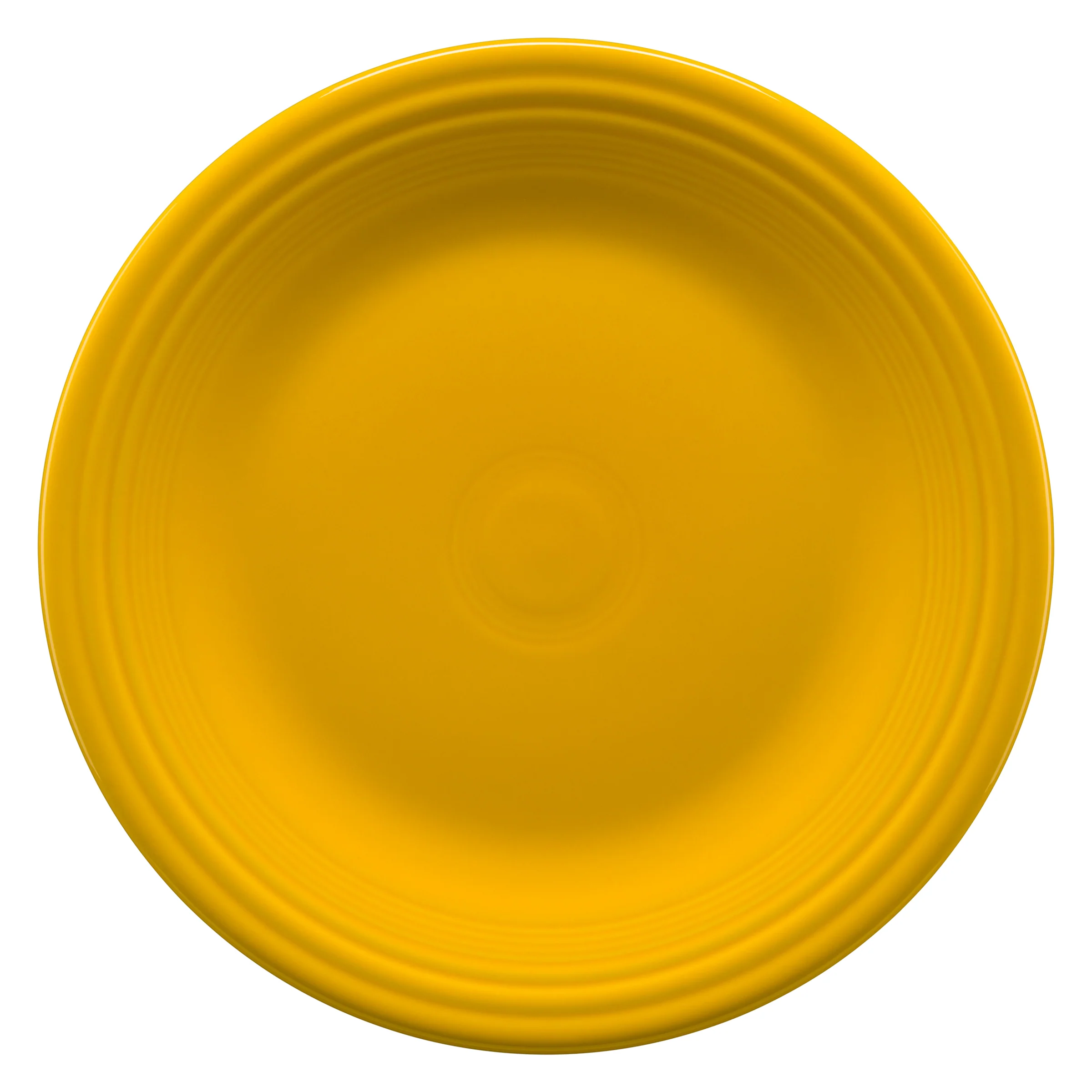 Classic Rim 10 1/2 Inch Dinner Plate - Image 11